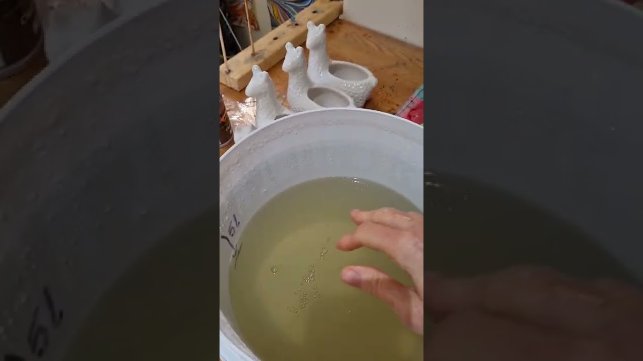 Carrageenan the morning after being made.