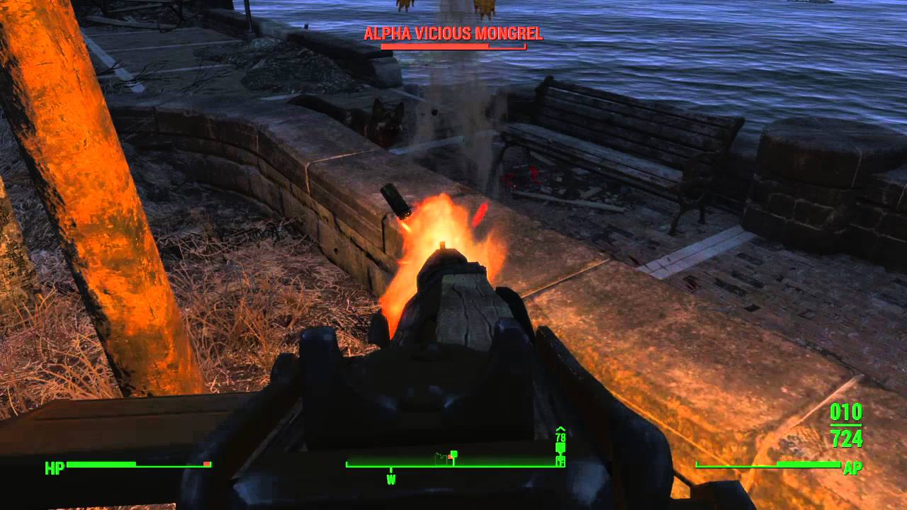 I owe my life to you, Dogmeat
