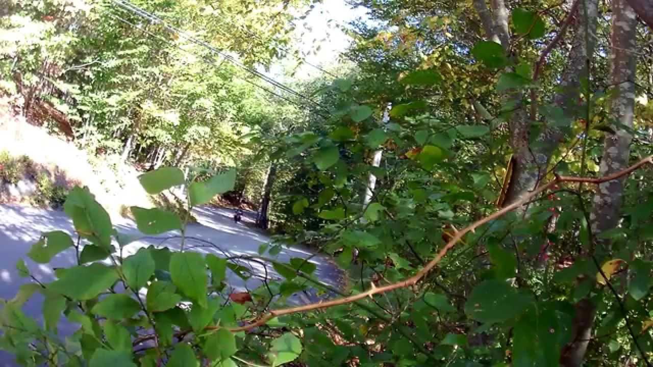 Riding RI 9.27.14 - Backroads and off roads