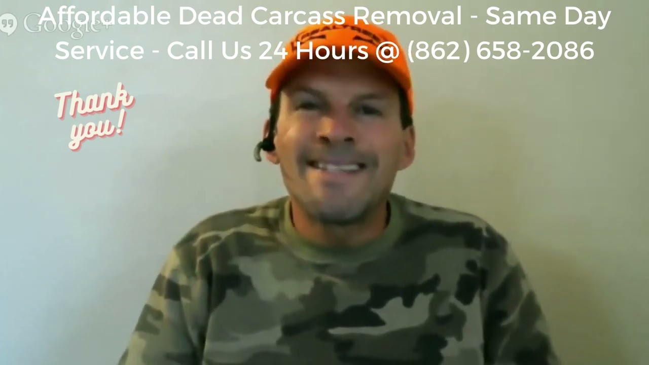 Jersey Animal & Professional Dead Animal Removal Services