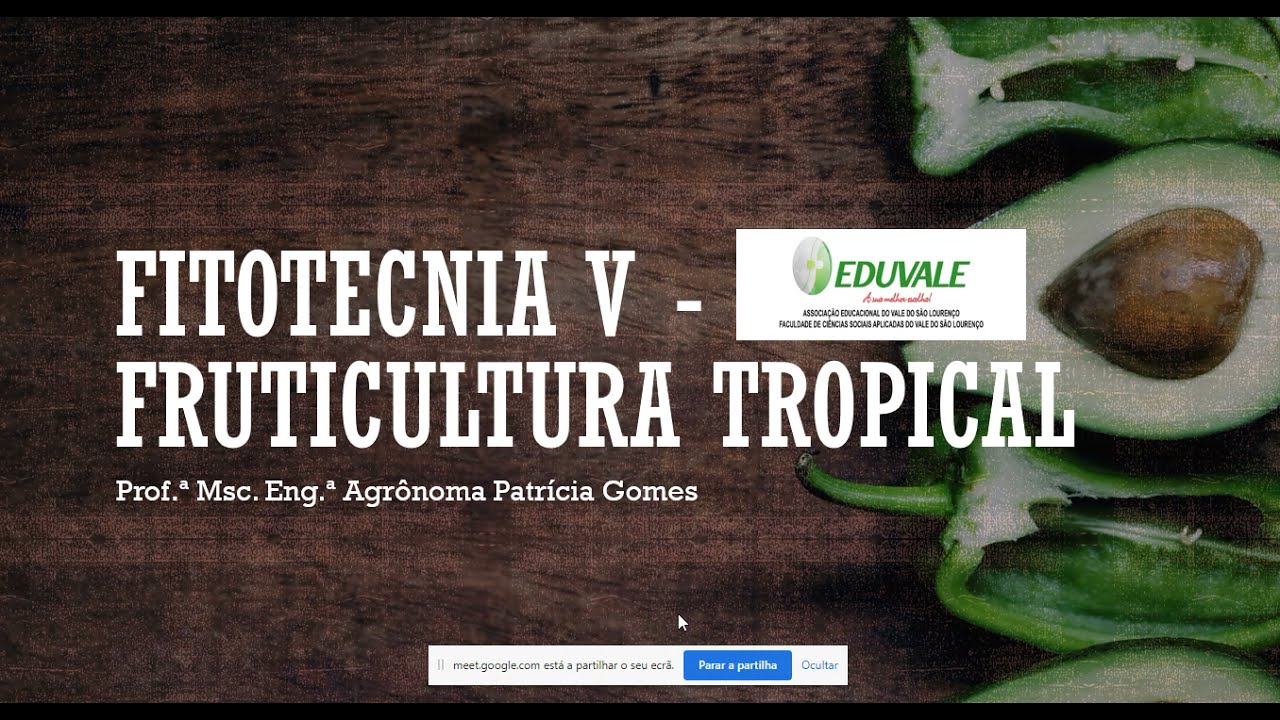 Aula 07 Podas de Plantas Frutíferas