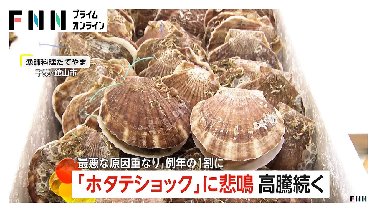 ホタテ高騰に生産地・店から悲鳴「最悪の原因の重なり」　高水温・プランクトン不足で稚貝死ぬ…水揚げ量例年1割に