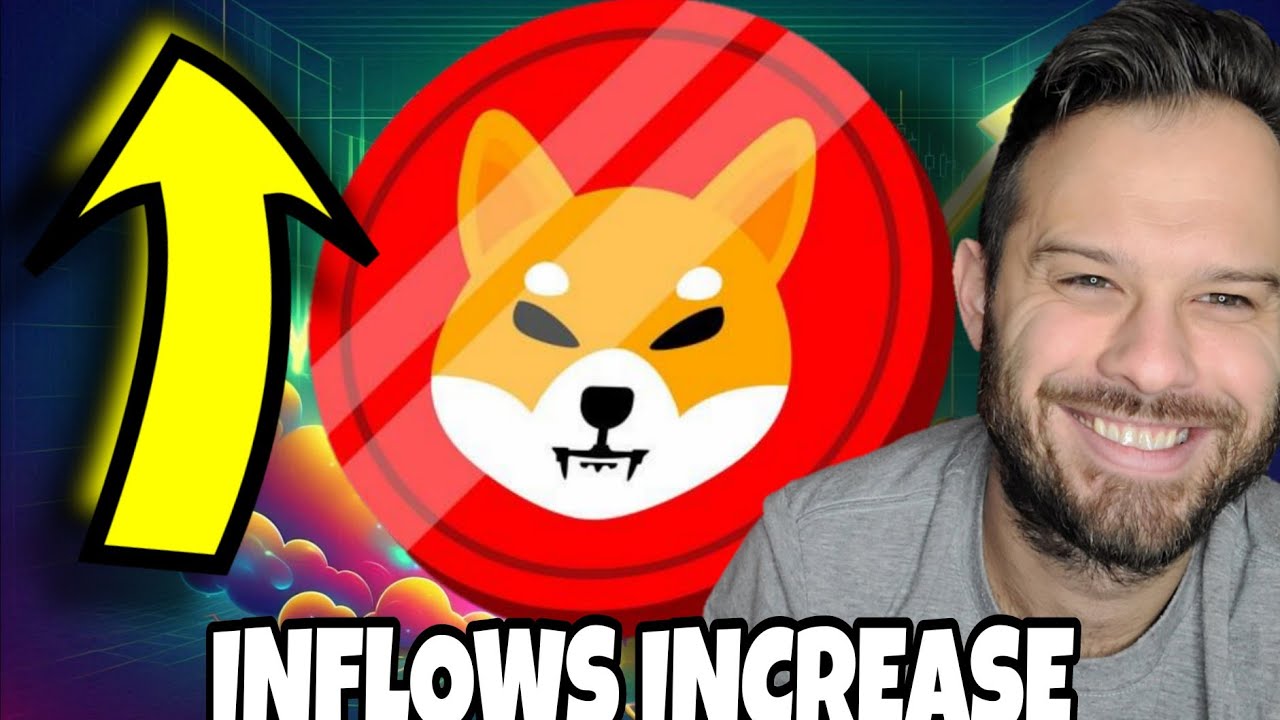 Монета Shiba Inu | Приток SHIB растет! Что это значит для SHIB