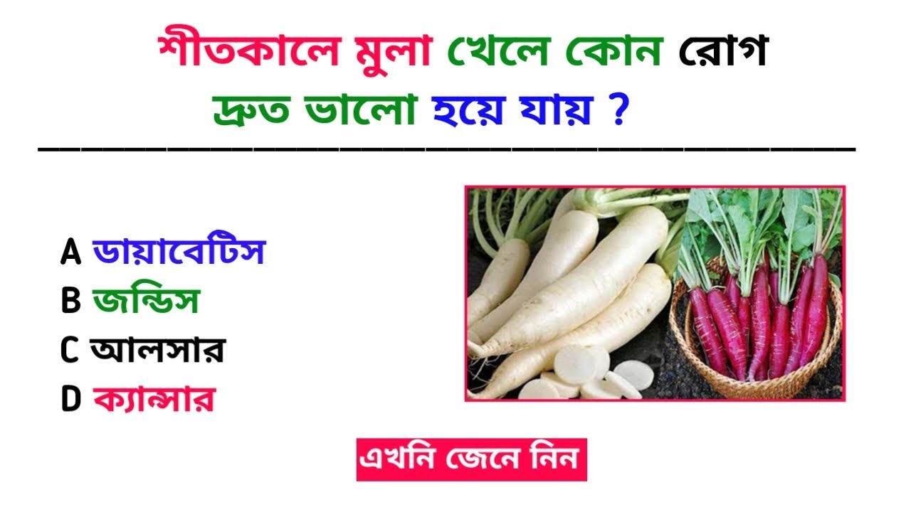 শীতকালে মুলা খেলে কোন রোগ দ্রুত ভালো হয়ে যায় ? Gk quiz। Bangla Gk। General knowledge bangla।
