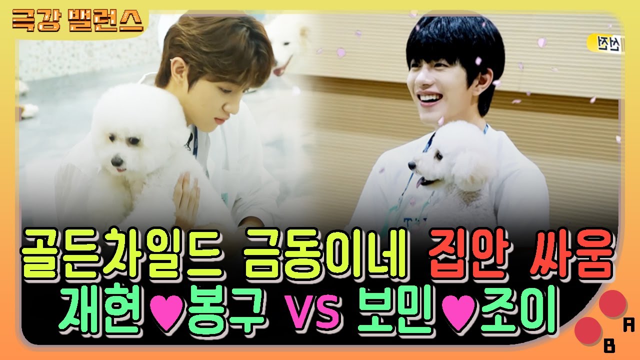 【극강밸런스】 골든차일드 집안 싸움?! 재현💜봉구 VS 보민💚조이! 그저 둘을 보는 것만으로도 심장이 Ra Pam Pam 뛰어요~💗｜멍멍선수권대회｜TVPP｜MBC 201002 방송