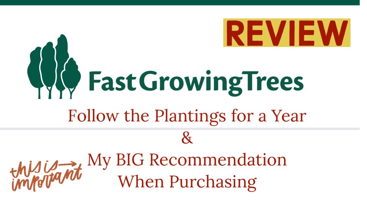 FastGrowingTrees.com Review - See the entire first year - Ordering Trees / Plants Online