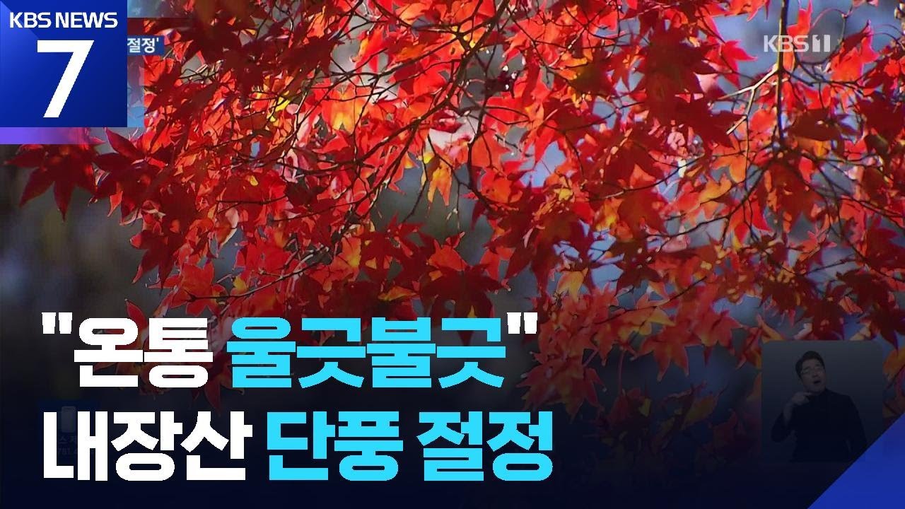 &lsquo;울긋불긋&rsquo; 갈아 입은 남녘&hellip;내장산 단풍 절정 / KBS  2025.11.14.