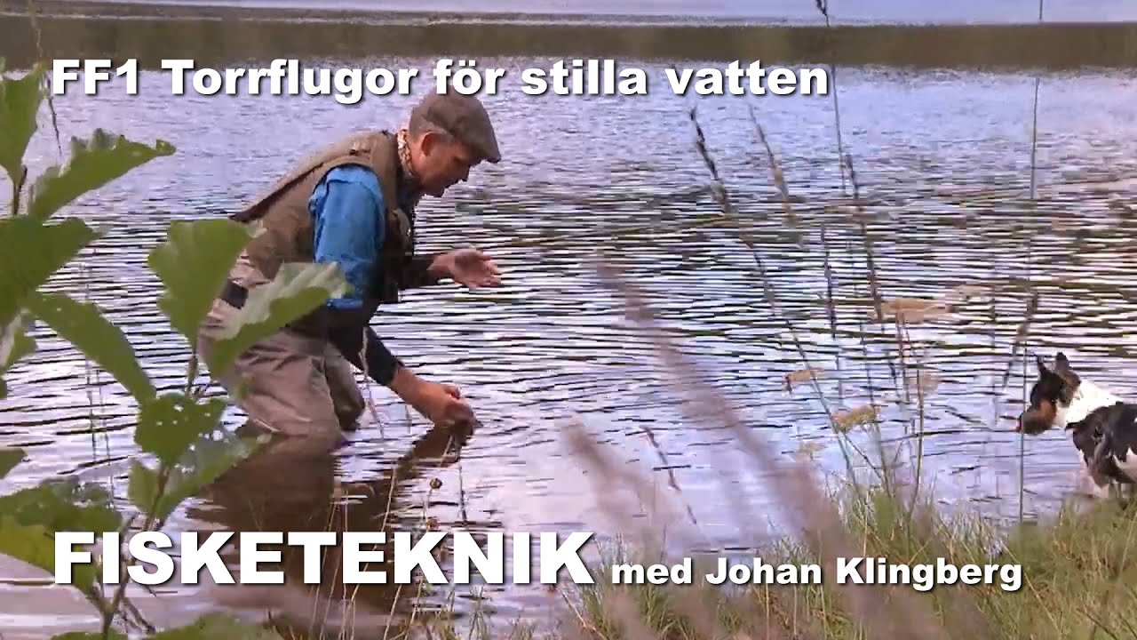 FF1 Torrflugor för stilla vatten - FISKE (Full Movie - Swedish)