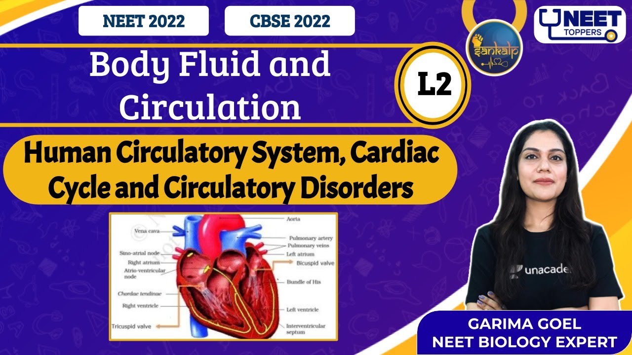 Sankalp: Body Fluid and Circulation L-2| NEET Toppers | Garima G.