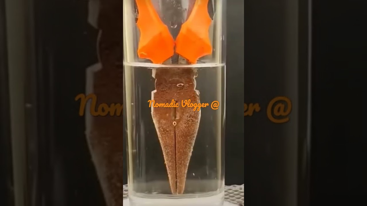Using White Vinegar To Clean Rust - Real Demo