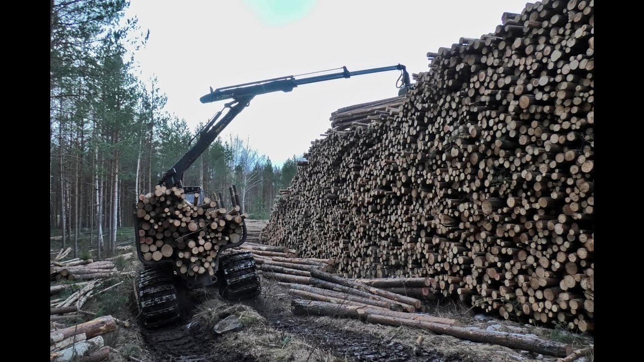 Ponsse Gazelle 8WD Unloading (4K)