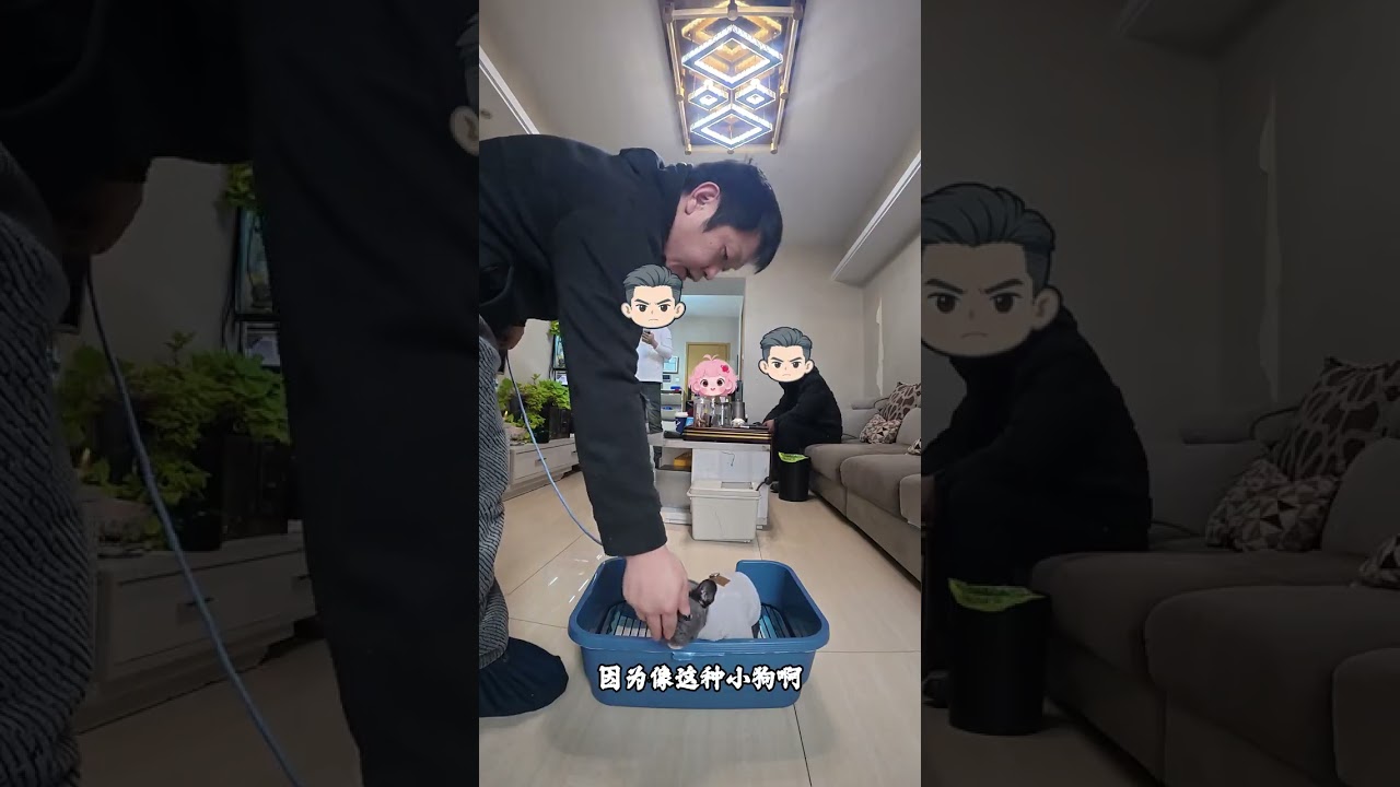 #狗狗定點上廁所