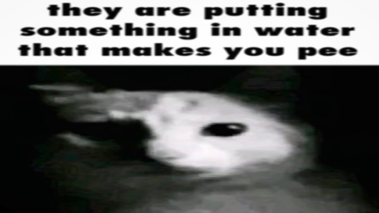Shitpost compilation 86