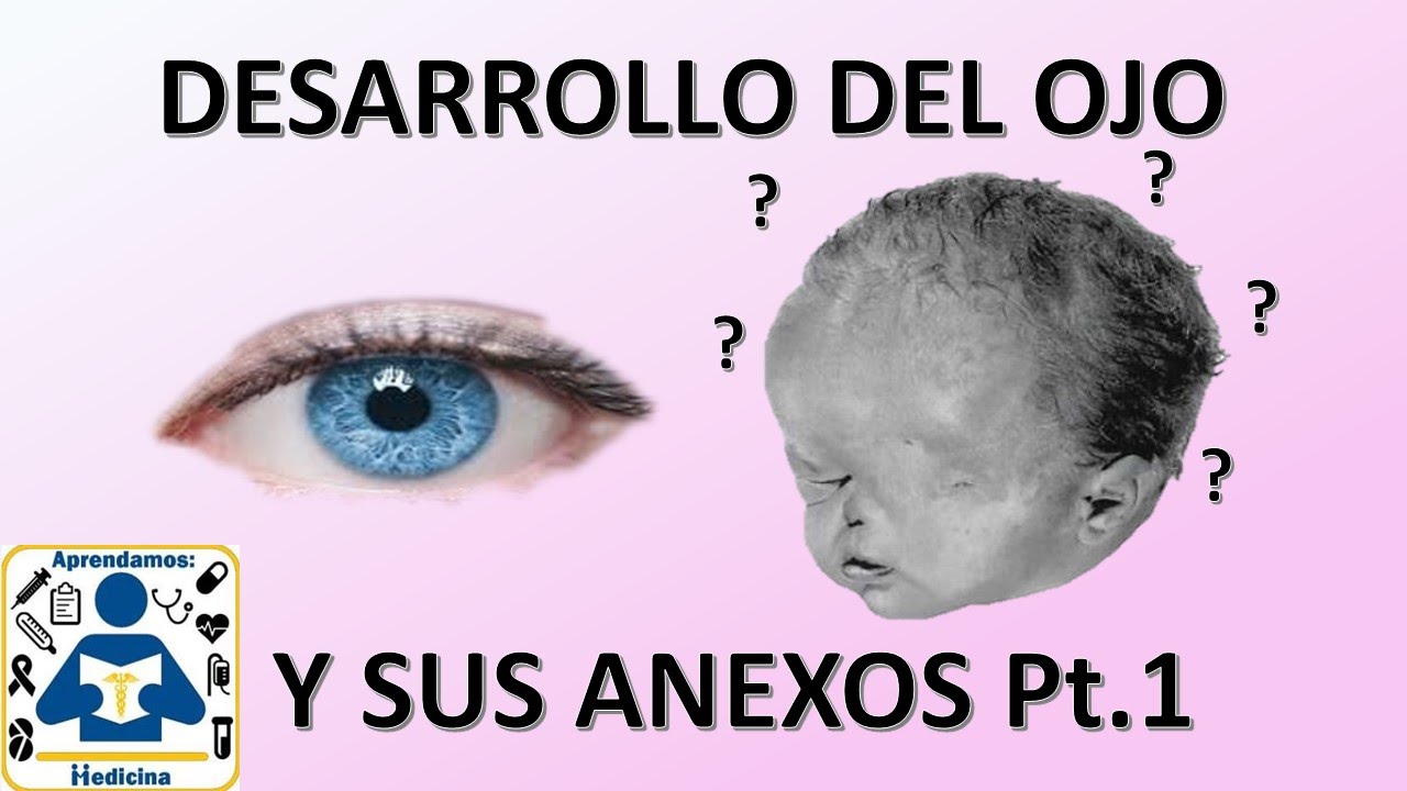 Embriologia: Desarrollo del ojo y sus derivados (Parte 1)