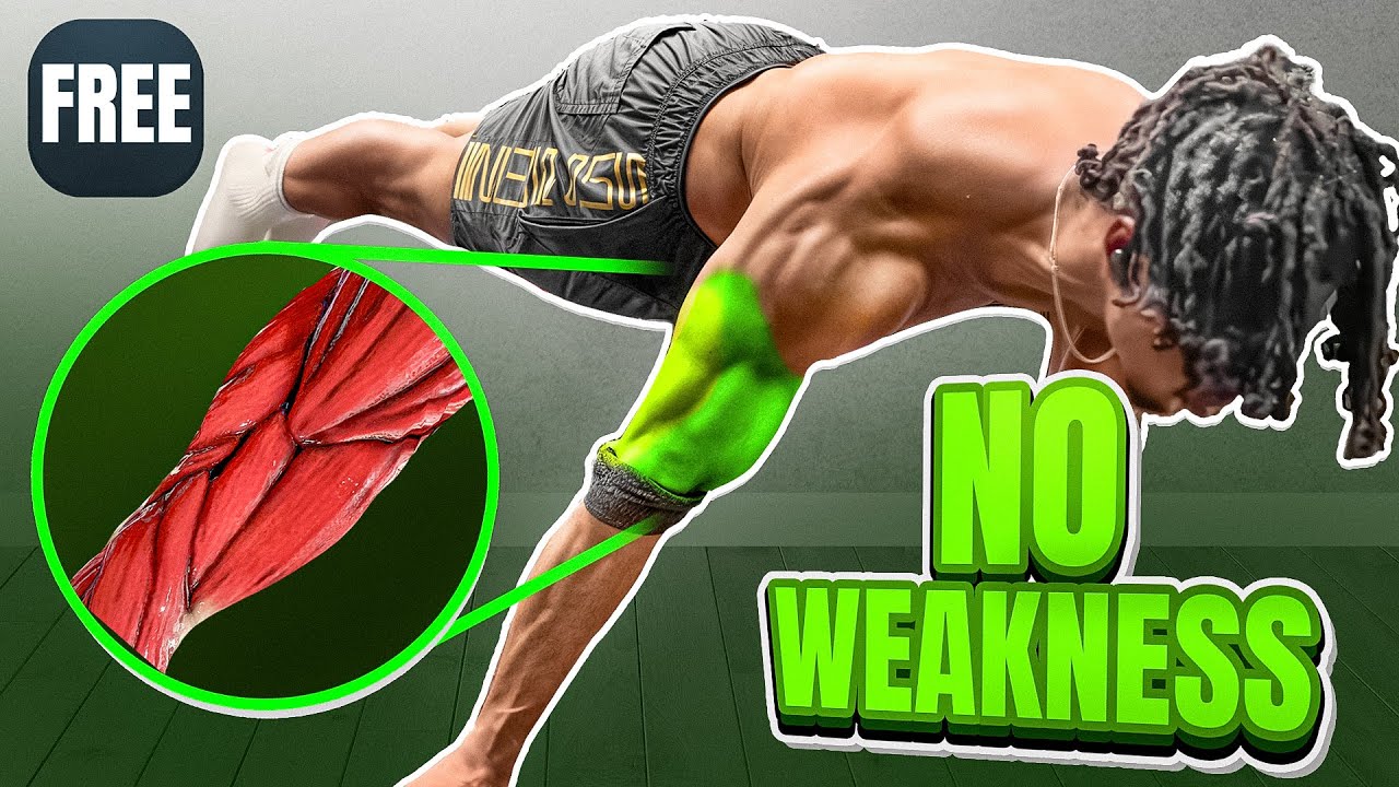 How To Train Tendons AND Muscle in Calisthenics(Free Program)