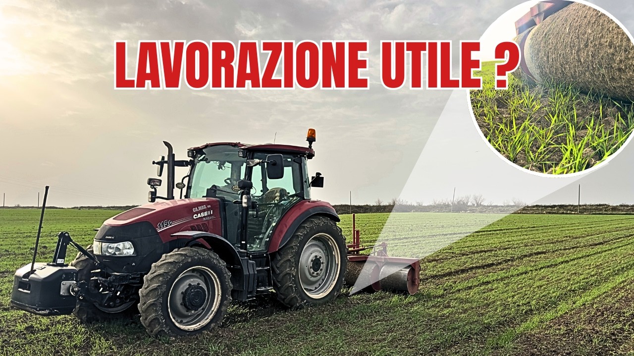 NON SAPEVI DI DOVERLO FARE - LAVORAZIONE STRAORDINARIA