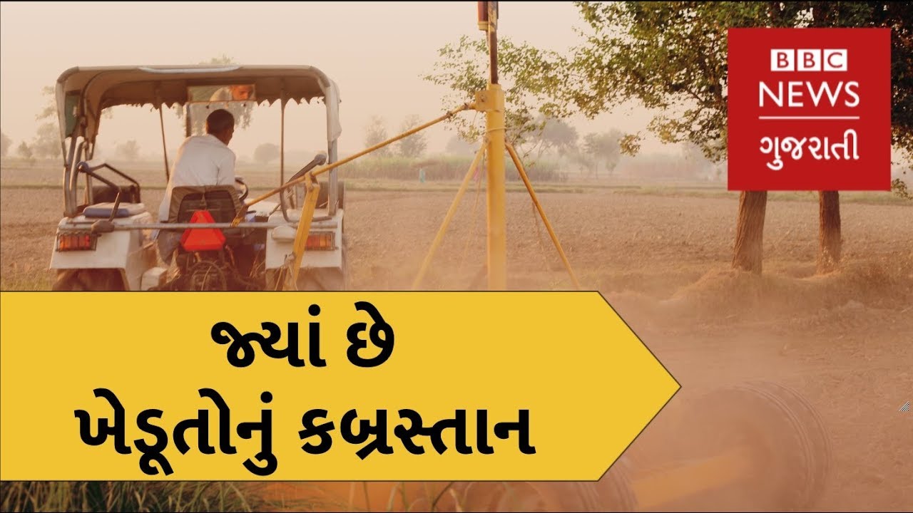 How Punjab became a graveyard for farmers? (BBC News Gujarati)