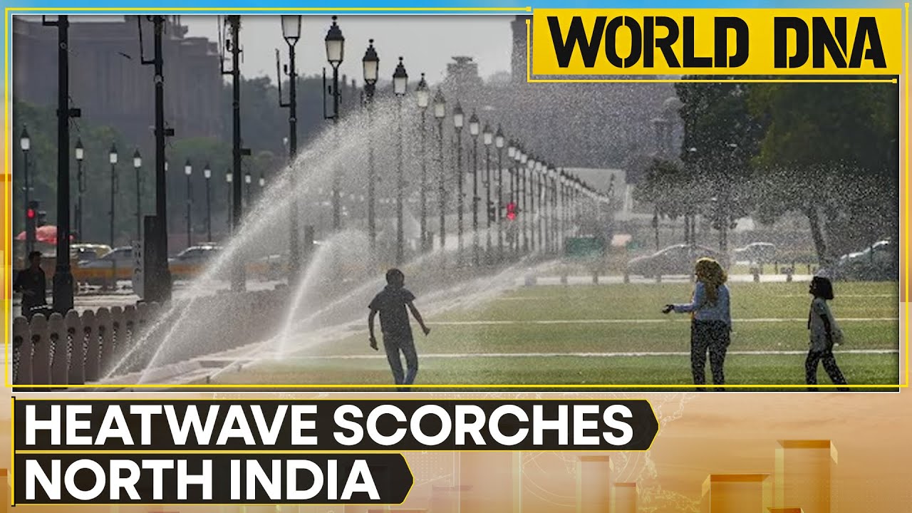 Heat alert in India: Intense heatwave sweeps across northern India | World News | WION