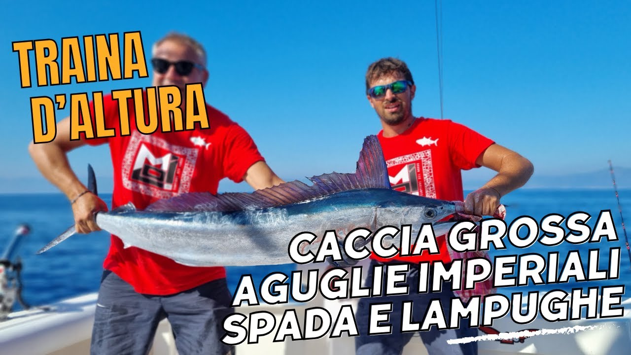 NOZIONI DI TRAINA D'ALTURA - CACCIA ALL'AGUGLIA IMPERIALE