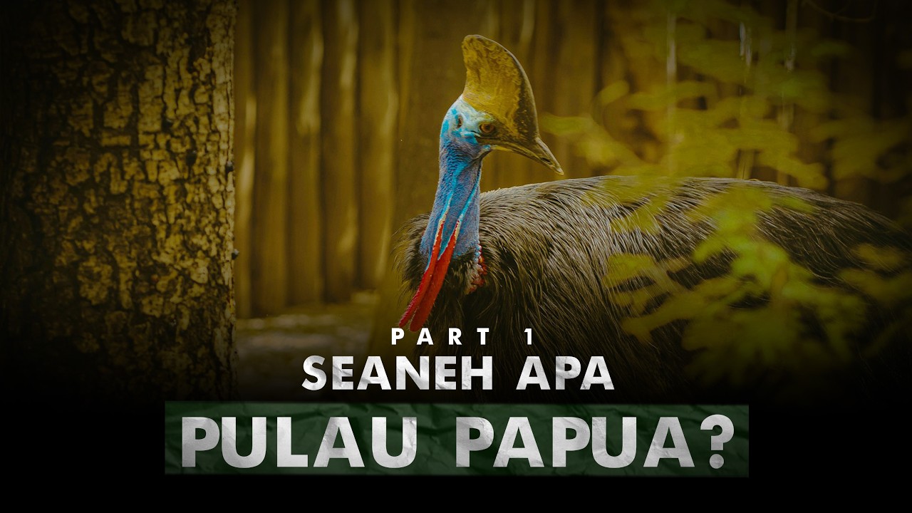 Menyebrang Ke Dunia Lain Negeri Ini | Papua Part 1