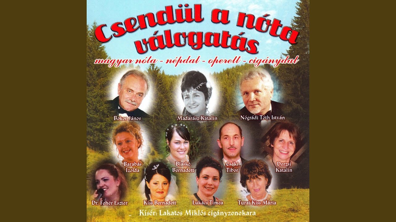 Leszállt a Csendes Éj