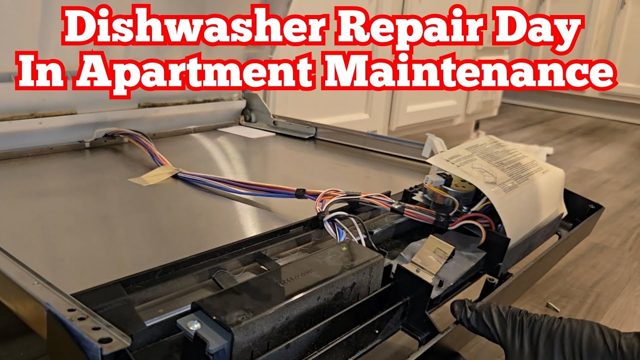 День ремонта посудомоечных машин в рамках обслуживания квартир.