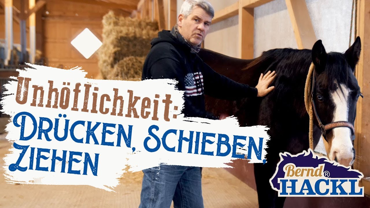 Warum das Pferd schiebt und drückt | Bernd Hackl erklärt! 🐴