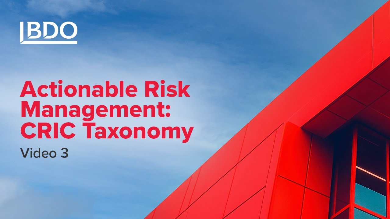 Risk CRIC Taxonomy