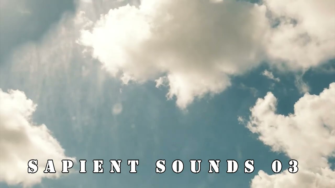 Sapiens (GR) - Sapient Sounds 03