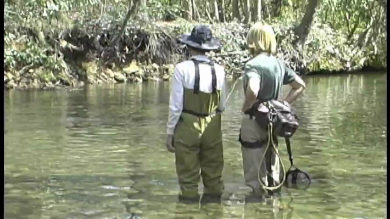 davidson river fly fishing