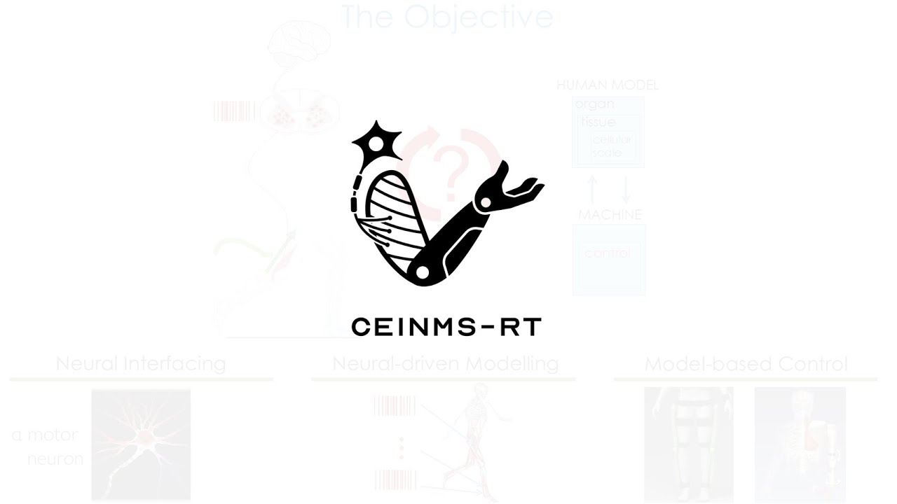 CEINMS RT Hands On Workshop