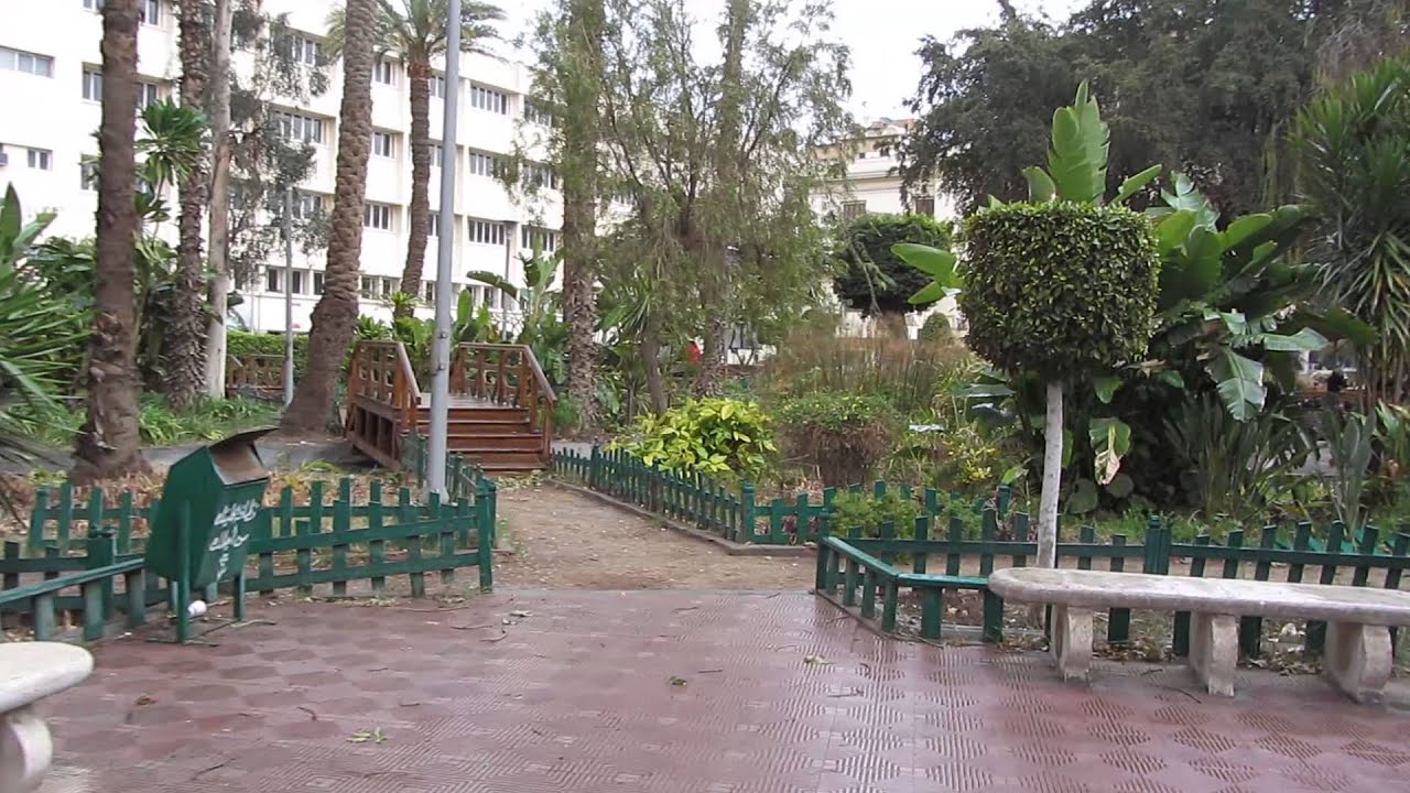 الحديقة المائية - كلية زراعة - جامعة القاهرة