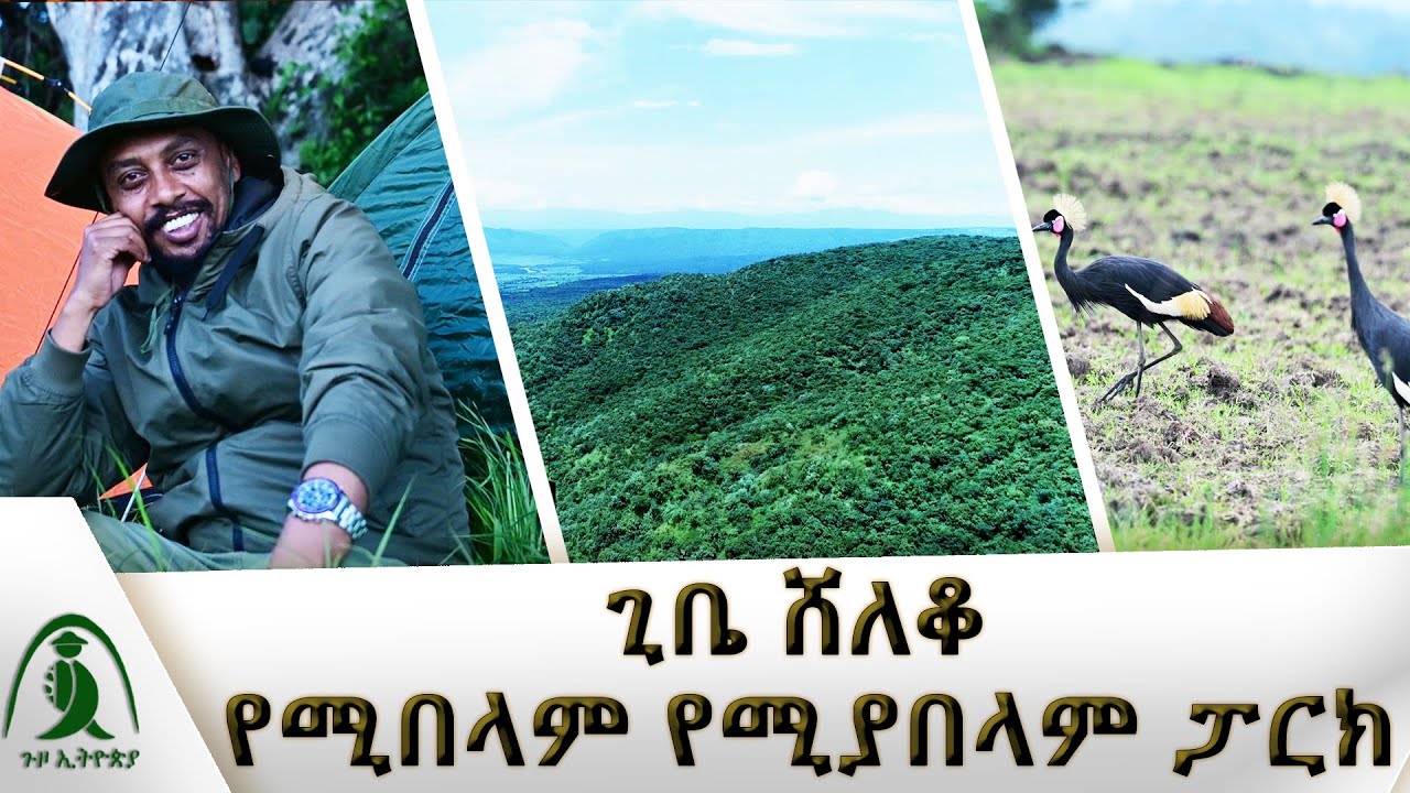 ለሀገር ዘብ የቆመ የተፈጥሮ ፀጋ! _Guzo Ethiopia | ጉዞ ኢትዮጵያ |@NBCETHIOPIA