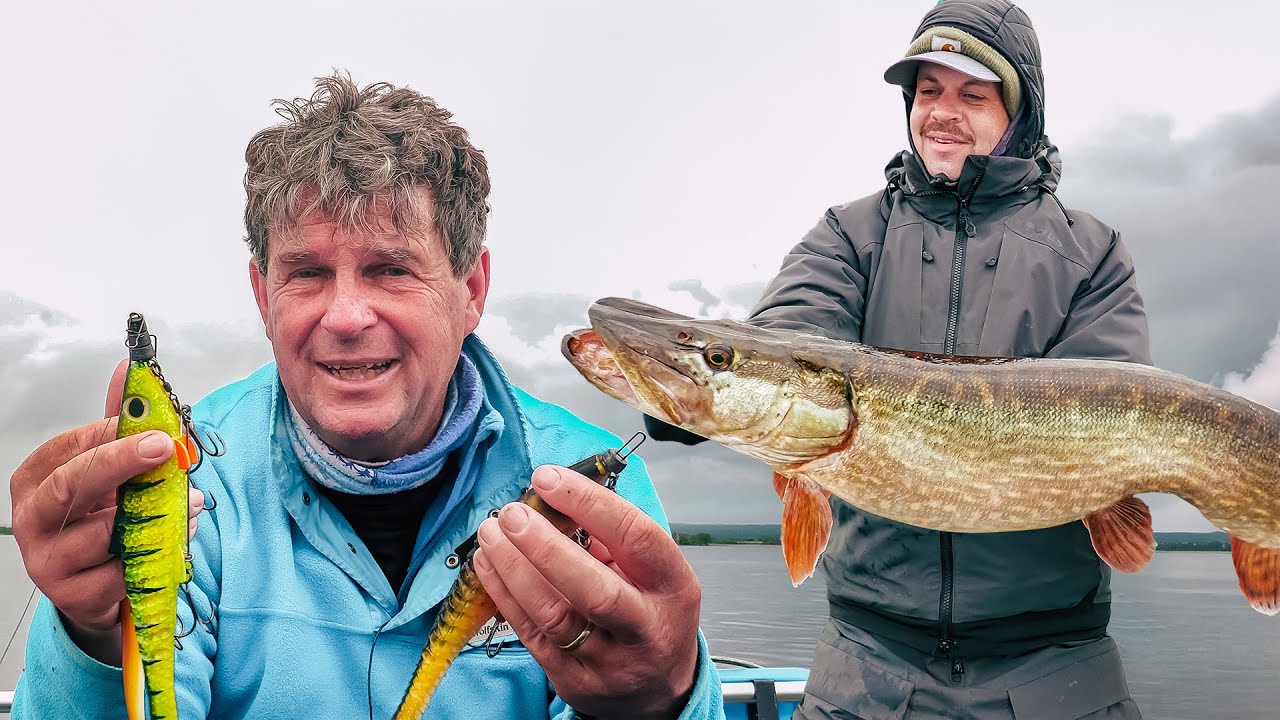 Freiwasser: Angeln mit Big Baits auf große Hechte