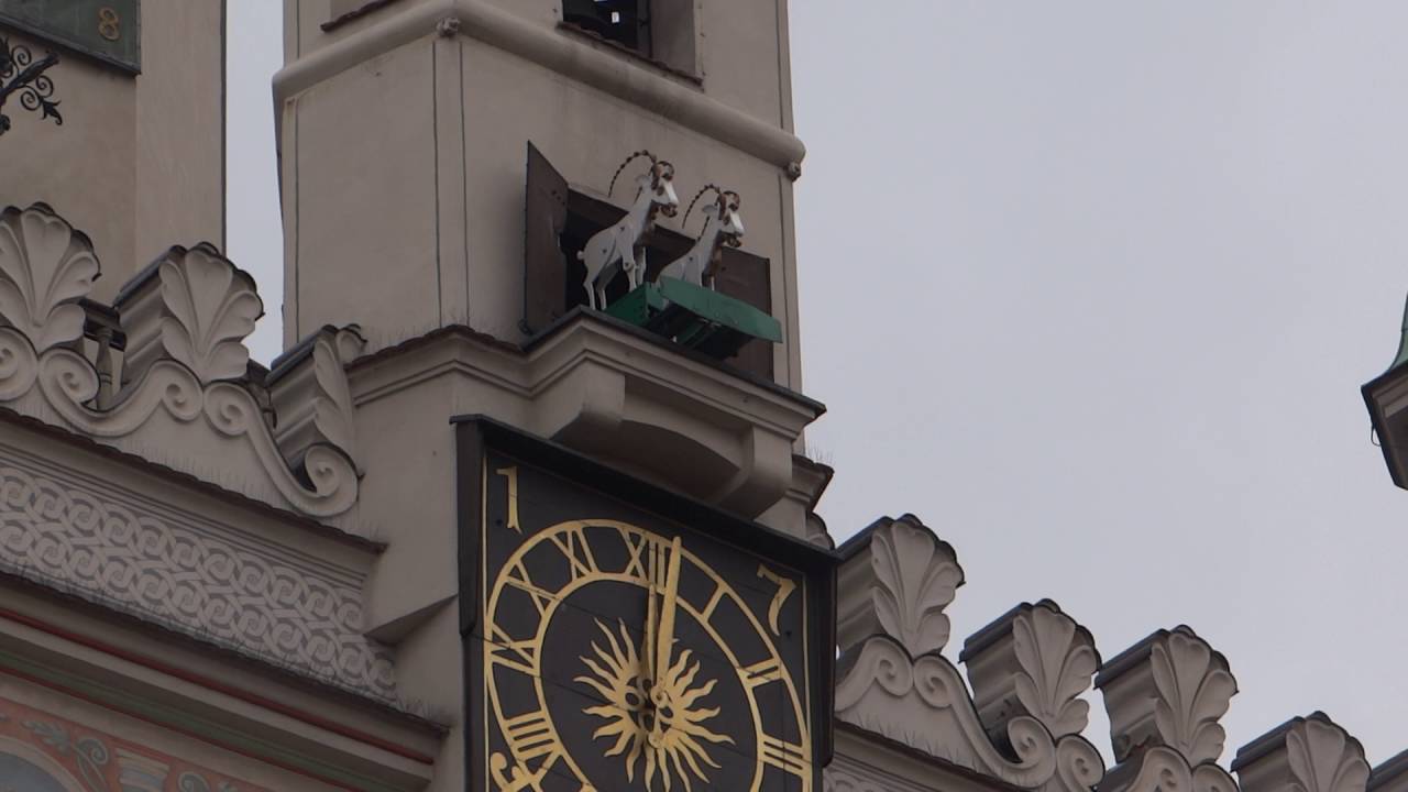 Koziołki poznańskie w południe na ratuszu