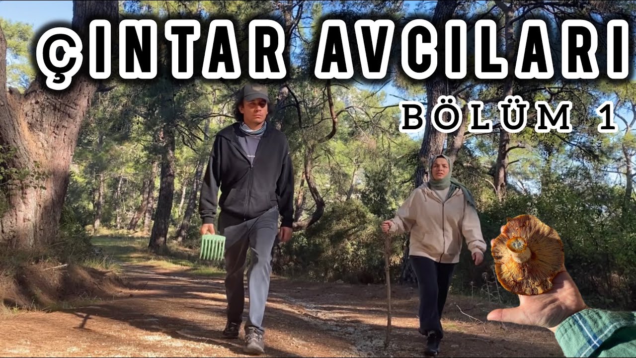 ÇINTAR AVCILARI- BÖLÜM 1 