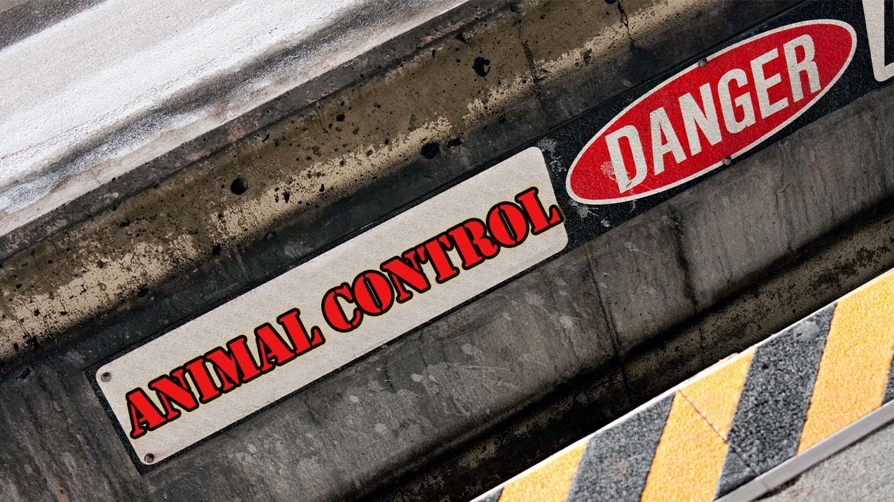 The Dangerous Job of Animal Control Officer