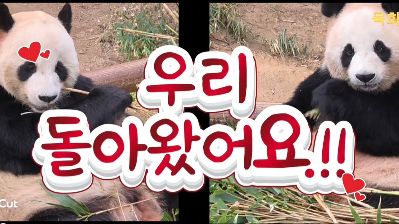 2026.01.19. 러아부부 첫타임 영상입니다.^^