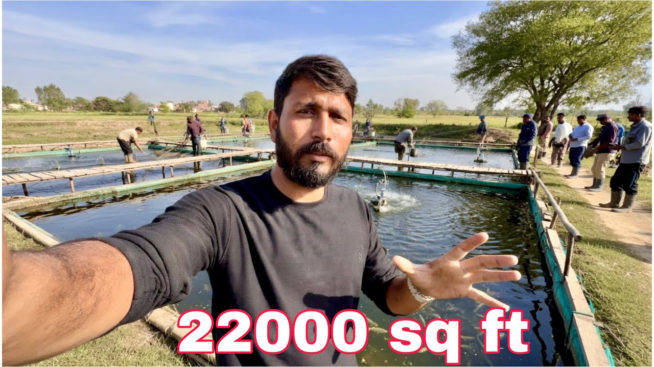 22000 Square Foot Fish 🐟 Farm in Pakistan 🇵🇰 sialkot Day One | Mr Asad