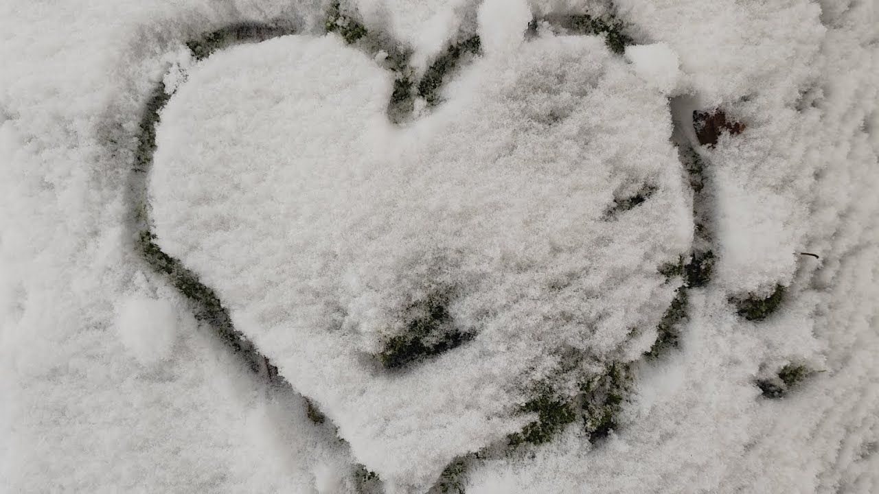 Terapie v přírodě. Karl Jung.🖤🤍