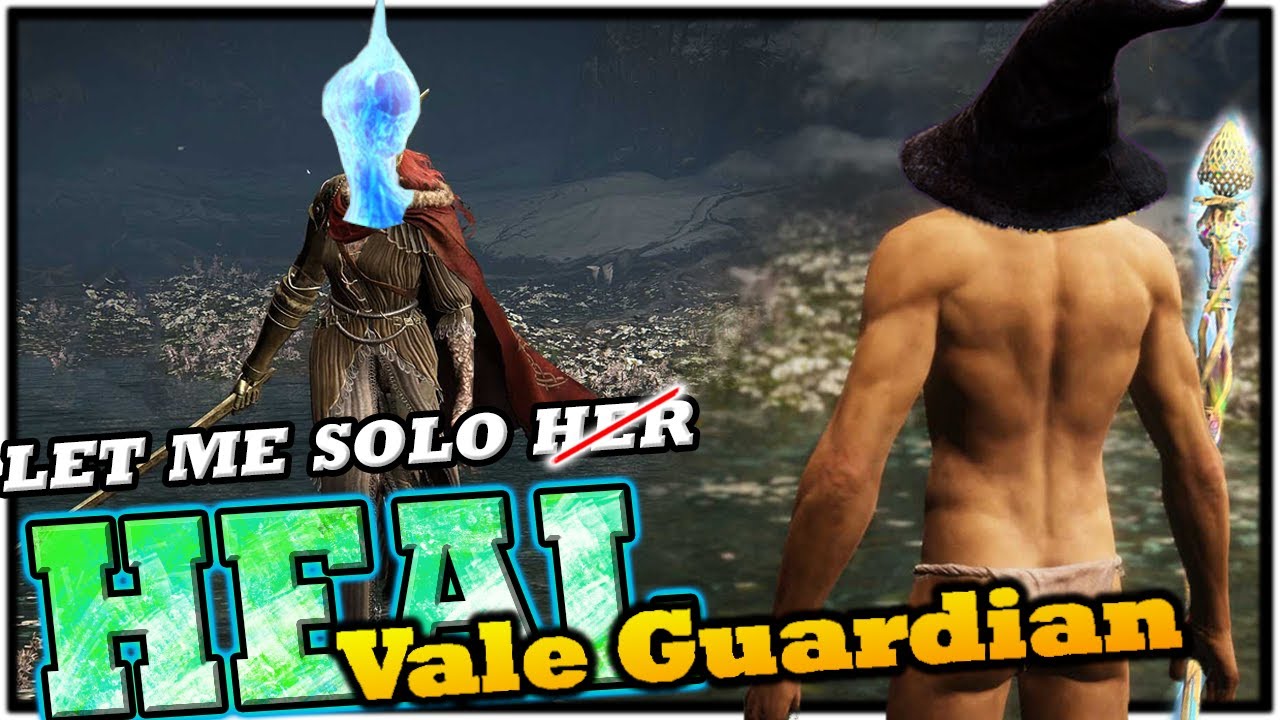 Let Me Solo Heal - VALE GUARDIAN - Guild Wars 2