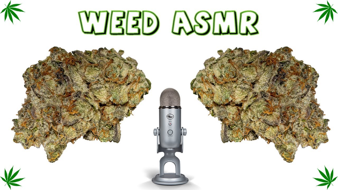 Weed ASMR Relaxing And Calming Frosty Nuggs