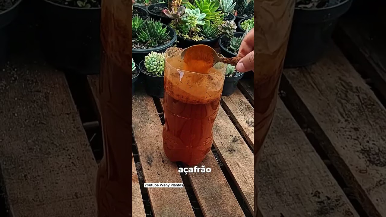 Você Não Vai Acreditar No Poder Desse Adubo Caseiro! - @wenyplantas