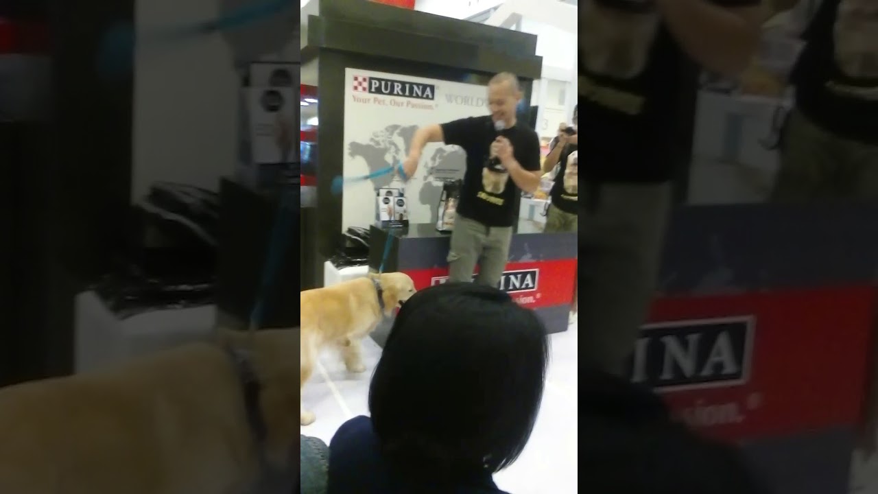 First meet snoweethegolden