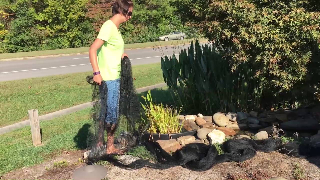 How To Net A Fish Pond In The Fall