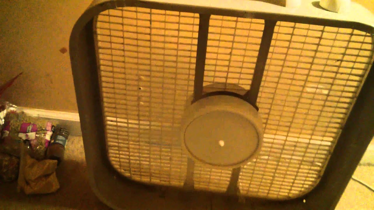 Let's see what this broken fan does