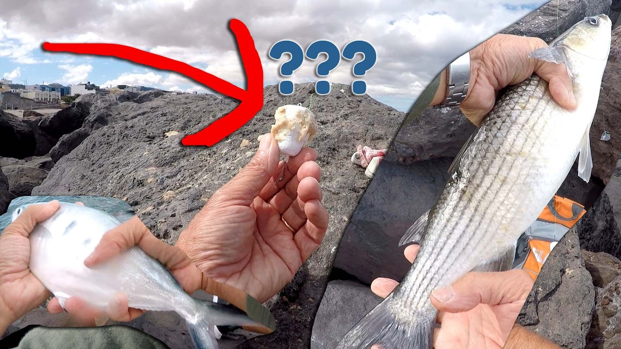 Tecnica Galleggiante Pasturatore: Cefalo e Leccia Gigante in Pesca!