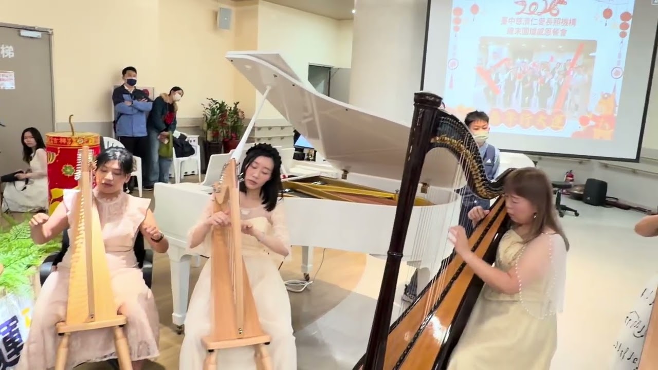 卡農 Canon 豎琴 大提琴 特殊樂器￼
