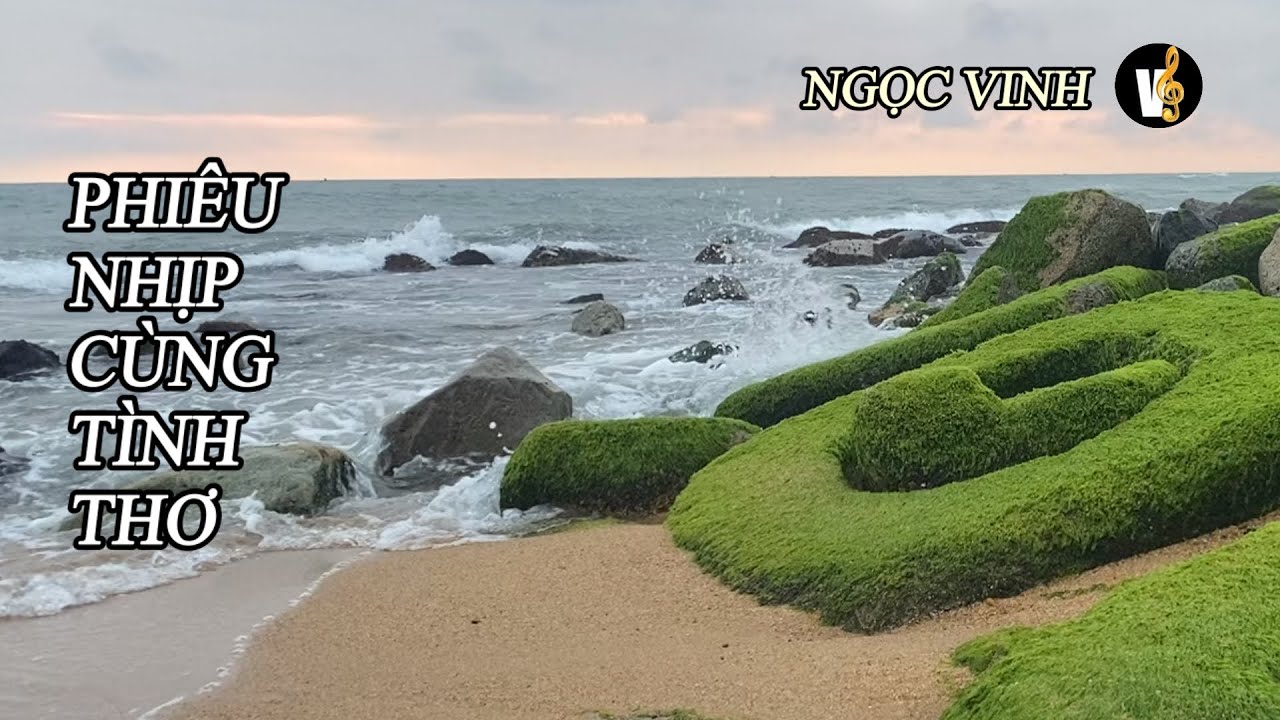 TÌNH BIỂN | Pop EDM Nhạc Thơ Ngọc Vinh | Bình Minh Rêu Xanh Xóm Rớ Phú Yên