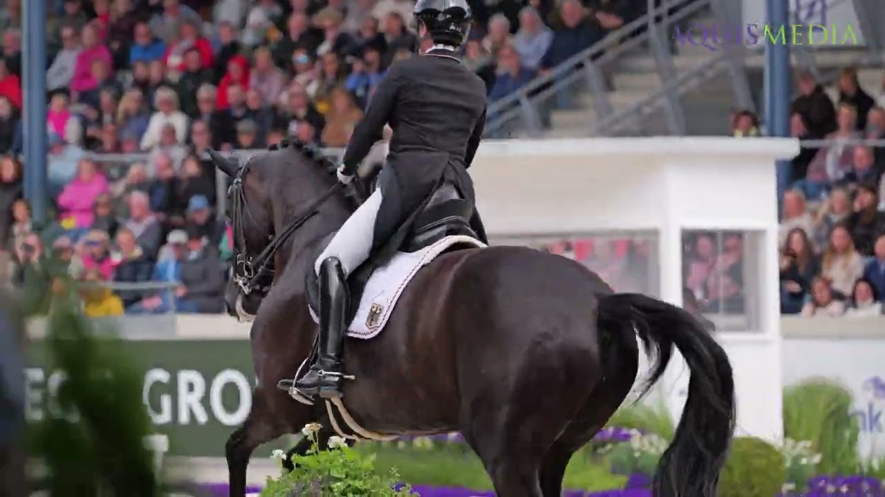 CHIO Aachen 2024 Dressur Impressionen 🐴
